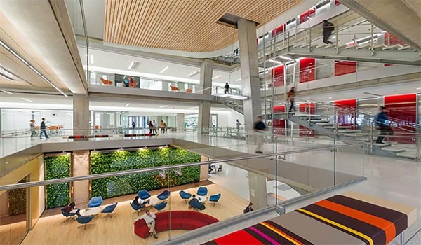 Purva Northern Lights Gallery