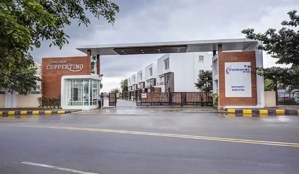 Featured Image of Concorde Cuppertino