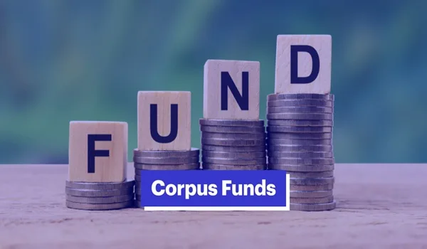 Featured Image of Purva Northern Lights Corpus Fund: A Simple Guide