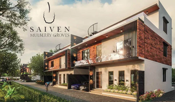 Featured Image of Saiven Mulberry Groves