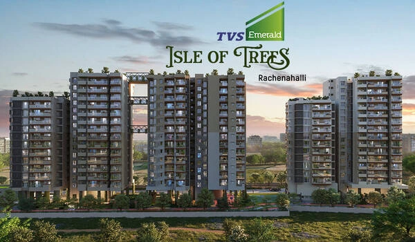 Featured Image of TVS Emerald Isle of Trees