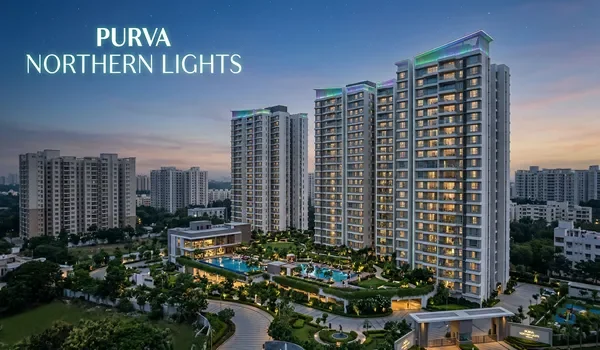 Featured Image of Why Brand Purva Adds A Premium To Your Purva Northern Lights