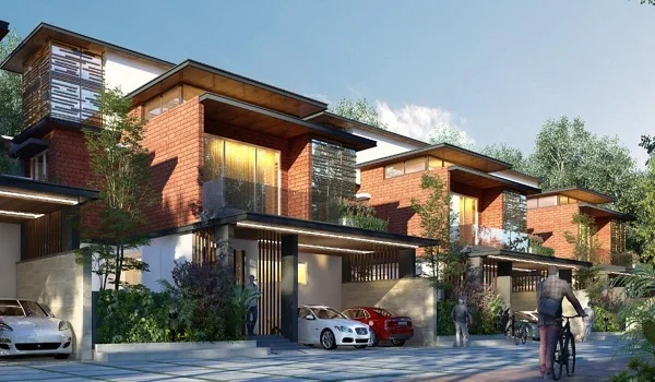 Featured Image of Purva Futura