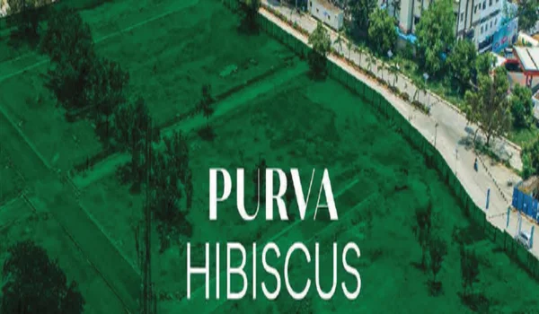 Featured Image of Purva Hibiscus