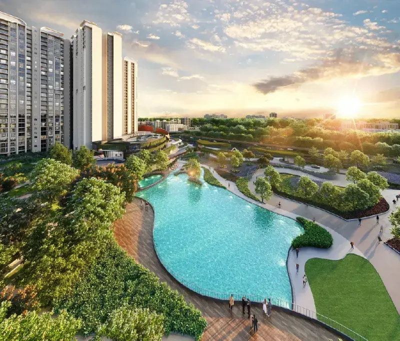 Purva Northern Lights Location Tour Video